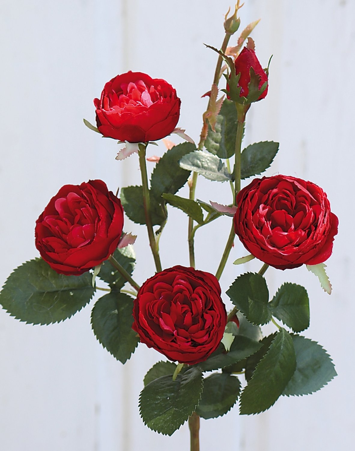 2591 444 a3 Искусственная роза, 4 цветка, 1 бутон, 57 см, красная H-andreas  - Вид №1