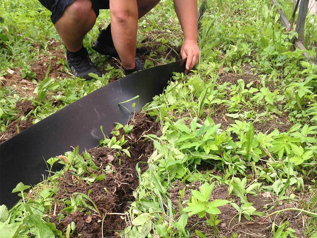 Лента бордюрная 250 мм x 10 м, 2 мм ГеоПластБорд GPBST-29 - Вид №5