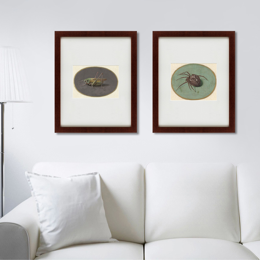 Картина: Sprinkhaan, 1690 КАРТИНЫ В КВАРТИРУ  135746 Разноцветный  - Вид №3