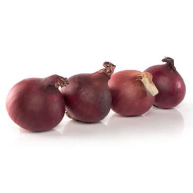 Лук красный Santreyd 2114