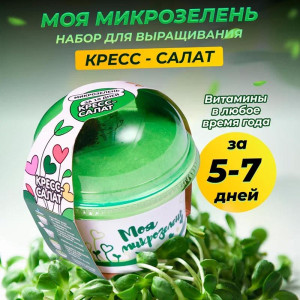 90822233 Набор для выращивания Моя микрозелень Кресс-салат STLM-0398017 ЗДОРОВЬЯ КЛАД