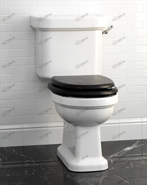 WCCMBLU Компакт унитаз с бачком Белый Devon&Devon  Италия 