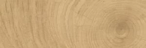 6012/SLR/200x600x10/S1 Time Ring медовый