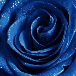 WP02004 Фотообои Verol Фотообои decoline 1х1 м