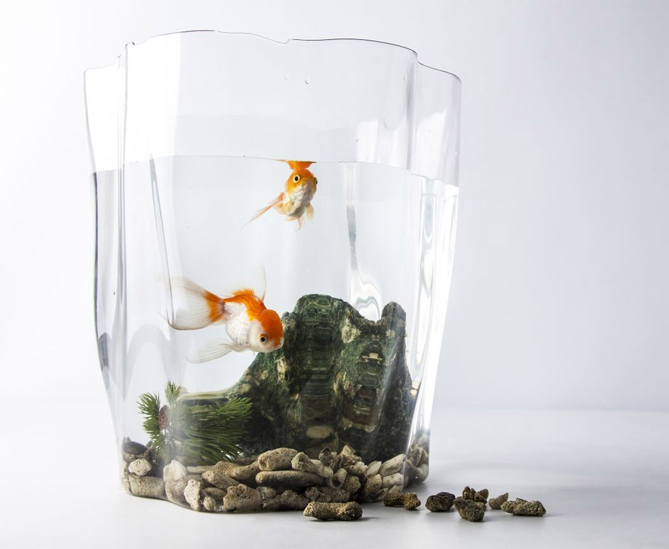 QL10162-CL Органайзер flow большой прозрачный Qualy  - Вид №2