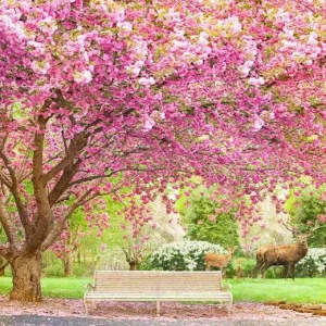 L-032 Фотообои DIVINO L&P 3х2.7 м