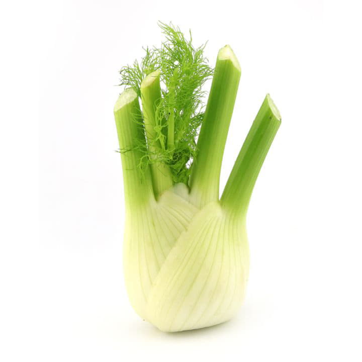 Фенхель Santreyd 8640