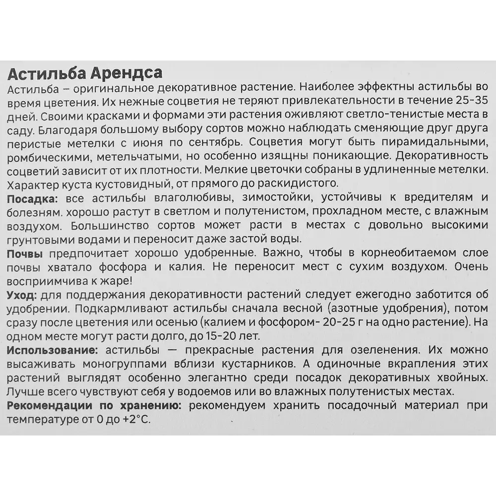 Астильба Арендса Федерзи - розовоцветущее корневище для сада 86408602 GEOLIA STLM-1565701 - Вид №2