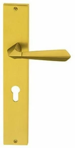 Pasini Ручка из латуни на пластине с накладкой  3670/3540
