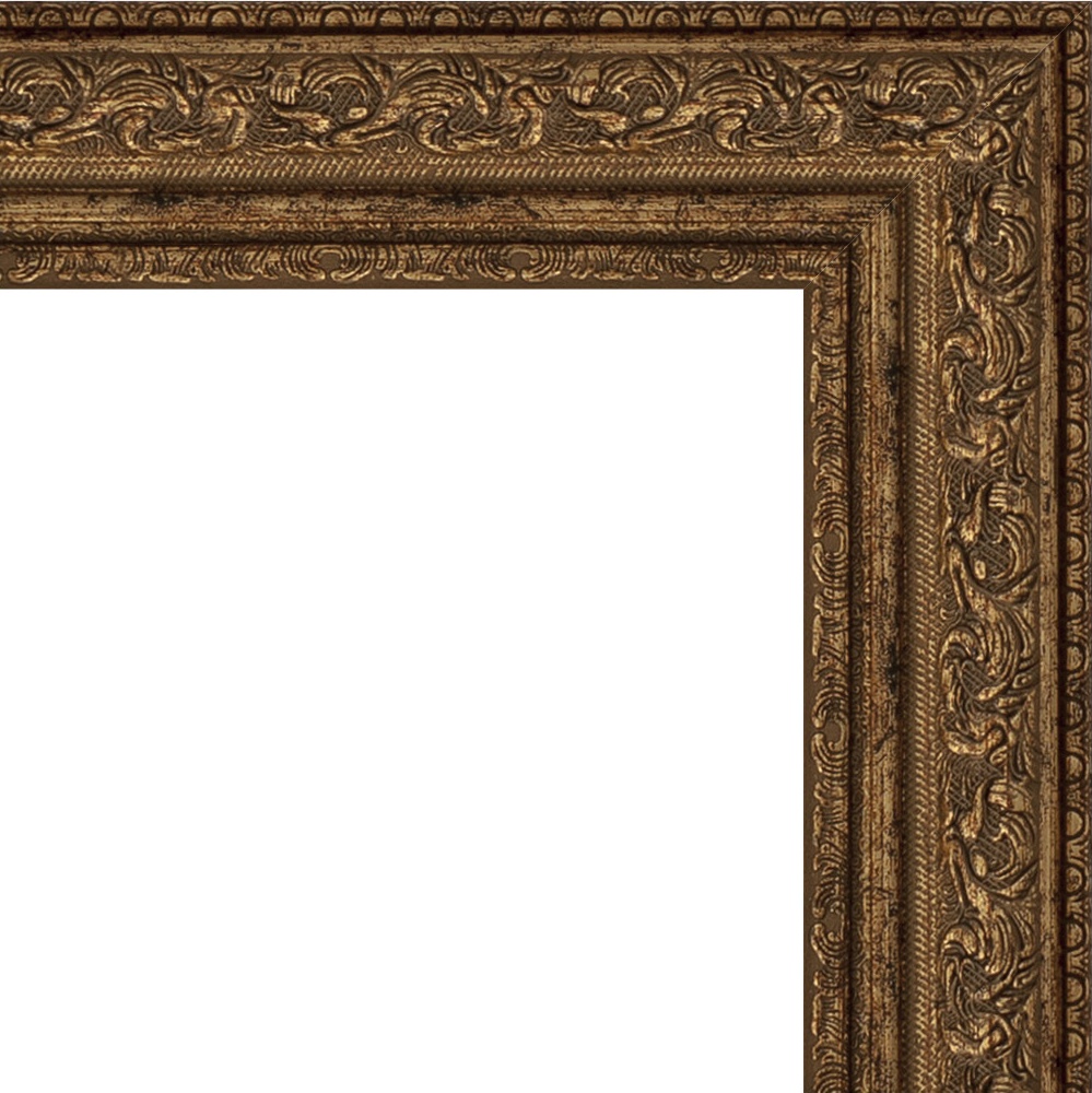 BY 3009 Зеркало в багетной раме - виньетка состаренная бронза 56 mm EVOFORM Definite - Вид №5