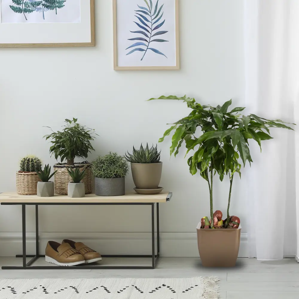 Горшок цветочный Square Couleurs Ø22,5 см, 8 л, пластик, цвет коричневый ТЕК.А.ТЕК Колорс STLM-2103848 - Вид №3