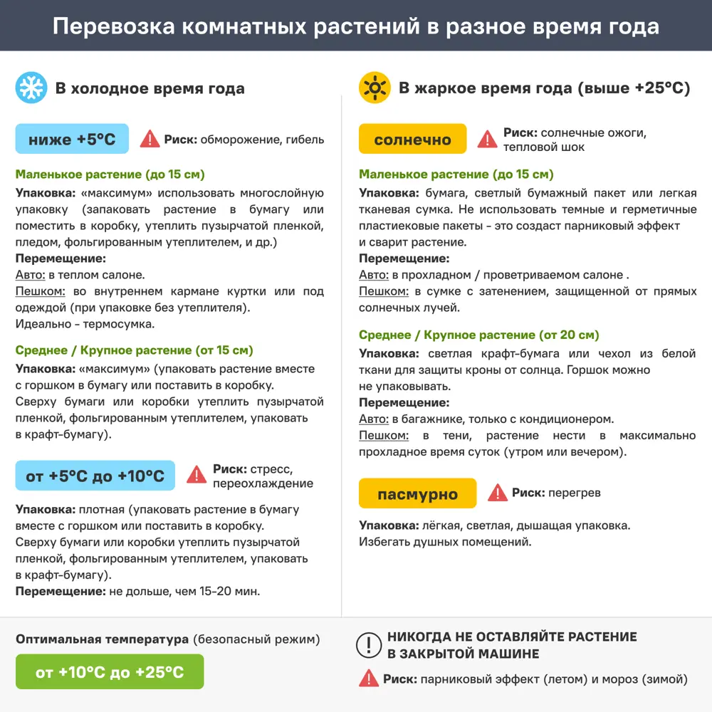 Кактус микс ø5.5 h5 см 89434463 STLM-2018886 Santreyd  - Вид №12
