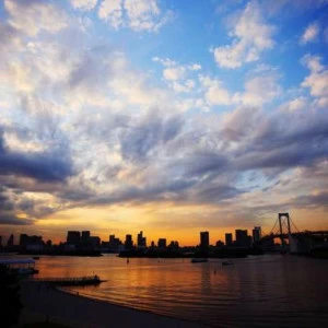 WP01564 Фотообои Verol Фотообои decoline 1х1 м