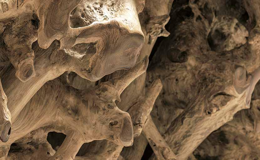 Прямоугольный стол для гостиной Il Giardino di Legno корень ARCH-00083476 - Вид №1