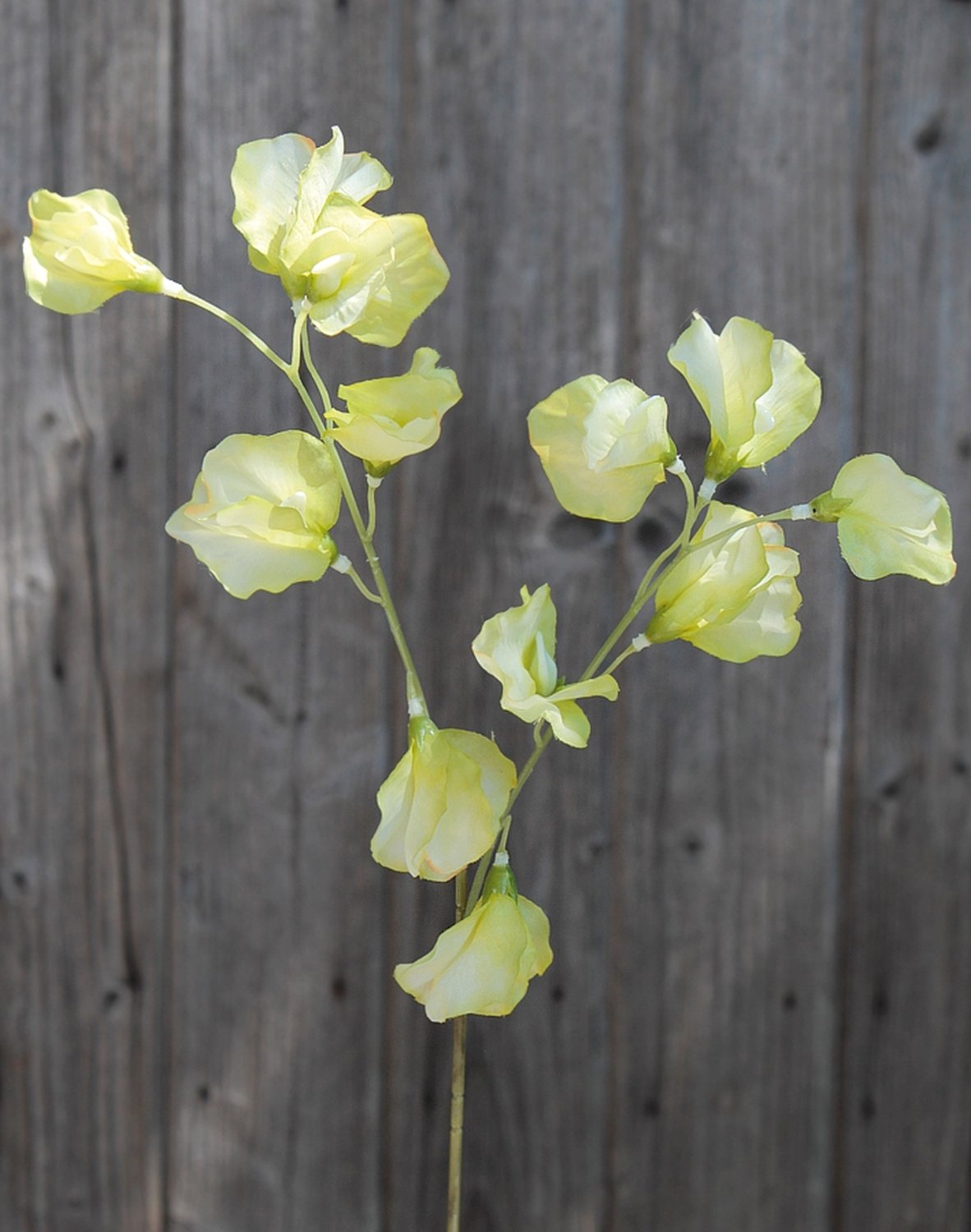 3181 005 a3 Вики искусственные, 4 штуки, 48 см, разноцветная миткалевая роза H-andreas  - Вид №12