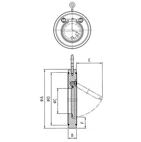 SANIT 616020 Обратный клапан с пружиной изготовлены из Hastelloy 2.4610, PVC-U  - Вид №1
