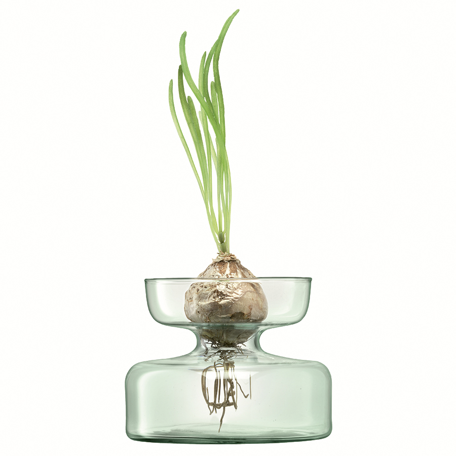 G1581-10-161 Ваза canopy, 10 см LSA International  - Вид №5