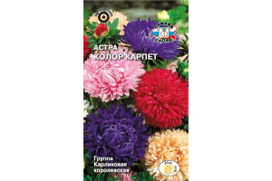 18409519 Семена Астра Колор карпет 00000013945 СеДек