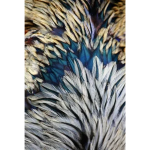 Картина на стекле «Перо» 40x60 см цвет белый/голубой 82977327 STLM-2035991