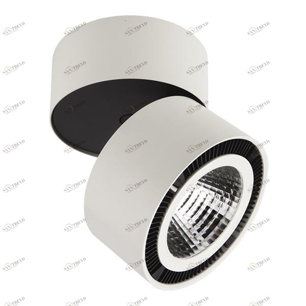 Потолочный светодиодный светильник Lightstar Forte Muro 213850 LIGHTSTAR FORTE MURO 118696 Белый 