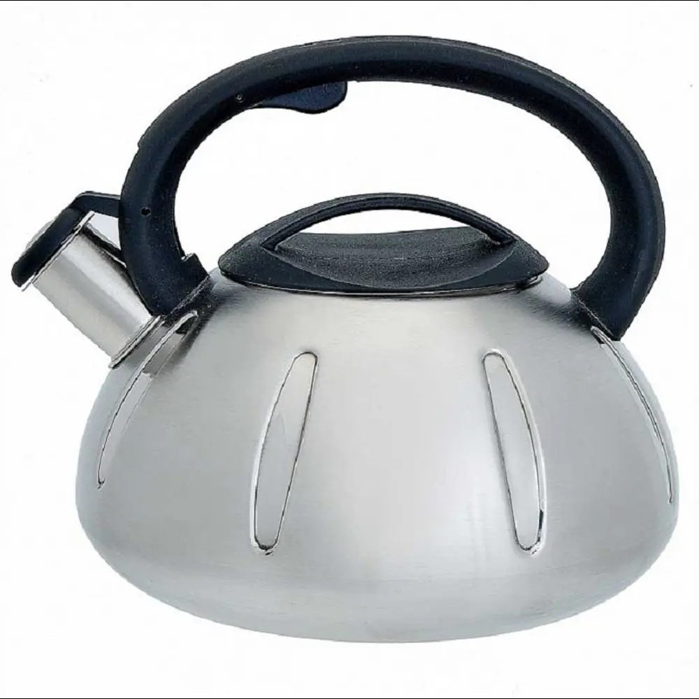 90610256 Чайник Webber BE-0569/1 3 л нержавеющая сталь цвет серебристый STLM-0884171