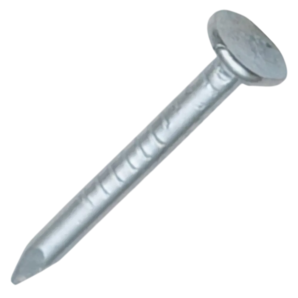 Гвозди толевые 2x20 мм 1 кг Santreyd STLM-2138991