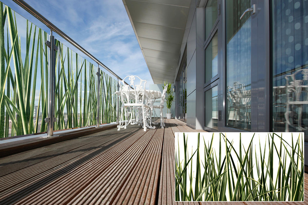 FSRT374 Зум-стекло Vivispectra с прослойкой из зебра-камня Forms-surfaces  - Вид №22