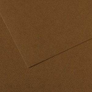 200331679 Бумага для пастели Mi-Teintes 160 г/м2 А4 21 х 29.7 см лист №501 каштановый Canson