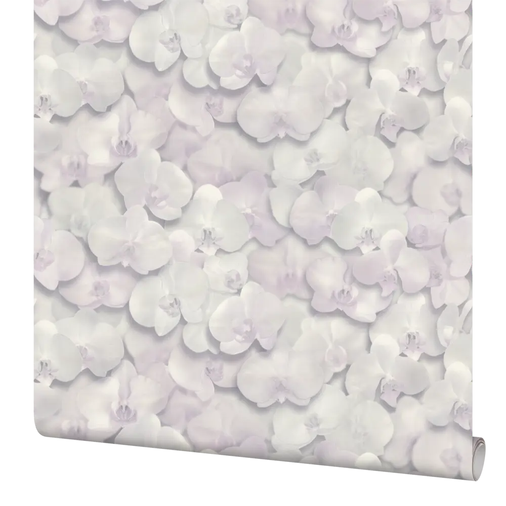 Обои флизелиновые Home Color Orchid серые 1.06 м HC71421-11 82912523 STLM-2002377