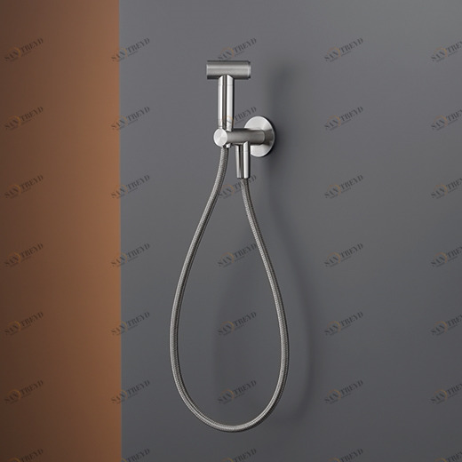 Биде спрей с предохранительным клапаном, настенный кронштейн и подключение воды  FRE177 CEADESIGN 