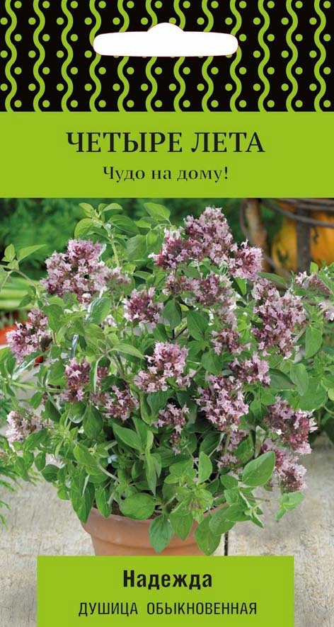 82102322 Семена Душица обыкновенная «Надежда» (А), 2 г STLM-0018959 ПОИСК