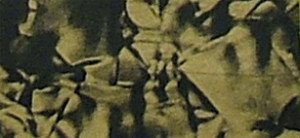 3111429 Фольга "восковая", Cracelle, 20x10 см, упаковка 1 шт., цвет зеленый