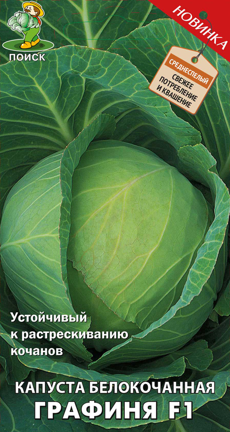 83227518 Семена Капуста белокочанная «Графиня» F1 STLM-0039590 ПОИСК