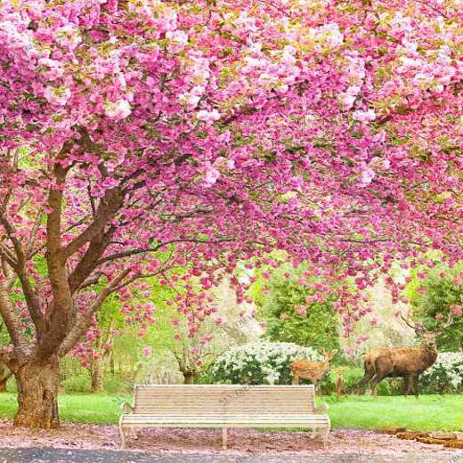 L-032 Фотообои DIVINO L&P 3х2.7 м L032