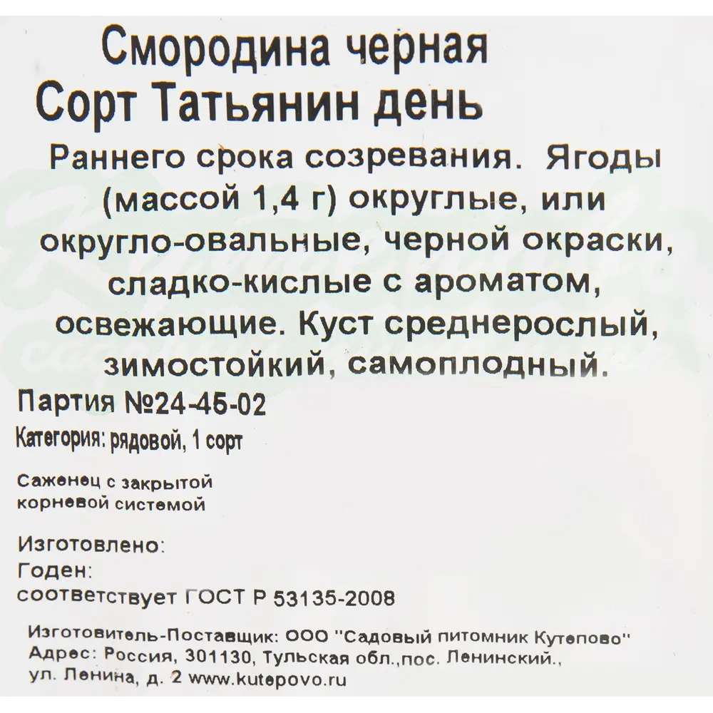 Смородина чёрная «Татьянин день» C2 высота 40 см 82597123 STLM-2121198 Santreyd  - Вид №1