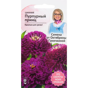 82481658 Цинния «Пурпурный принц» 0.5 г СЕМЕНА ОТ ОКТЯБРИНЫ ГАНИЧКИНОЙ STLM-0027984