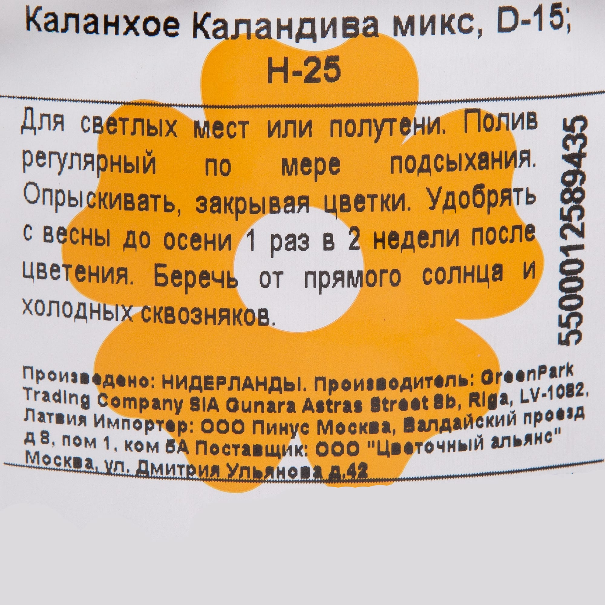 82399680 Каланxое Каландива микс 15x25 см Santreyd  - Вид №2