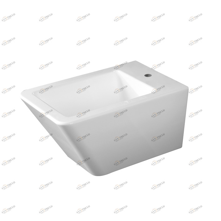 Настенное биде со скрытым сливным краном. В него входит крепеж 100123732-N499816966. Адаптер скрытого слива 100046585-N499816802 продается отдельно  Lounge NOKEN 100100217  WHITE