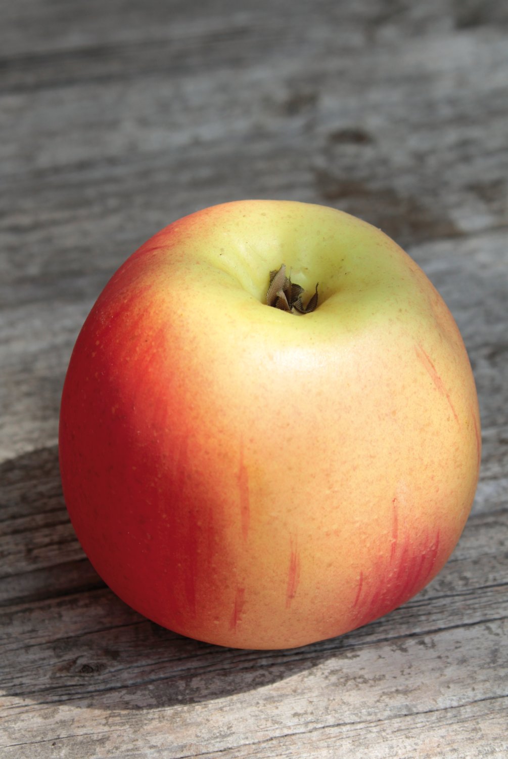 7207 403 a3 Декоративное яблоко, 8 см, красно-желтое H-andreas  - Вид №2