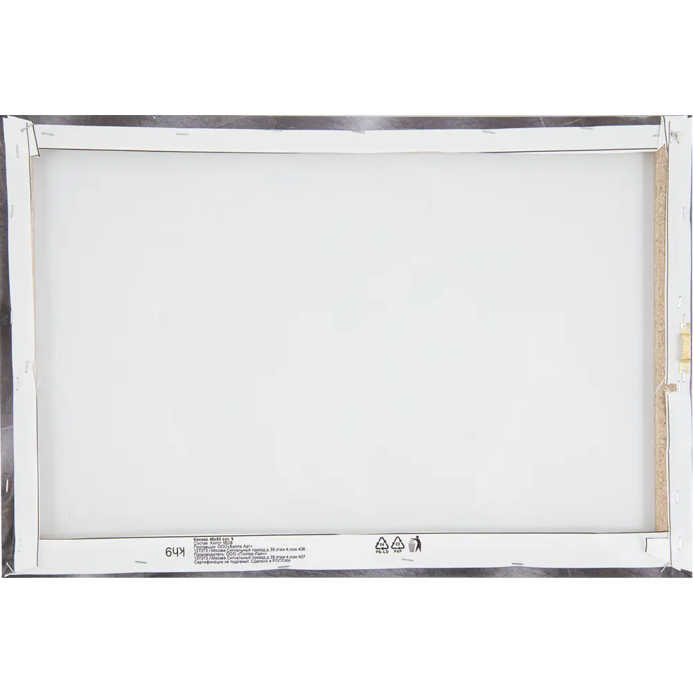 Картина на холсте Постер-лайн Листья монстеры 40x60 см STLM-2204275 - Вид №2