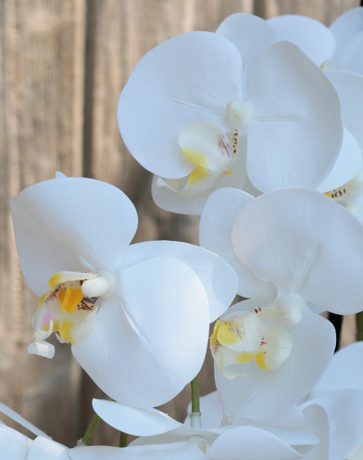 2772 778 a3 Пластиковая орхидея Phalaenopsis, 2-х кратная, горшечная, 45 см, real touch, бежево-белая H-andreas  - Вид №7