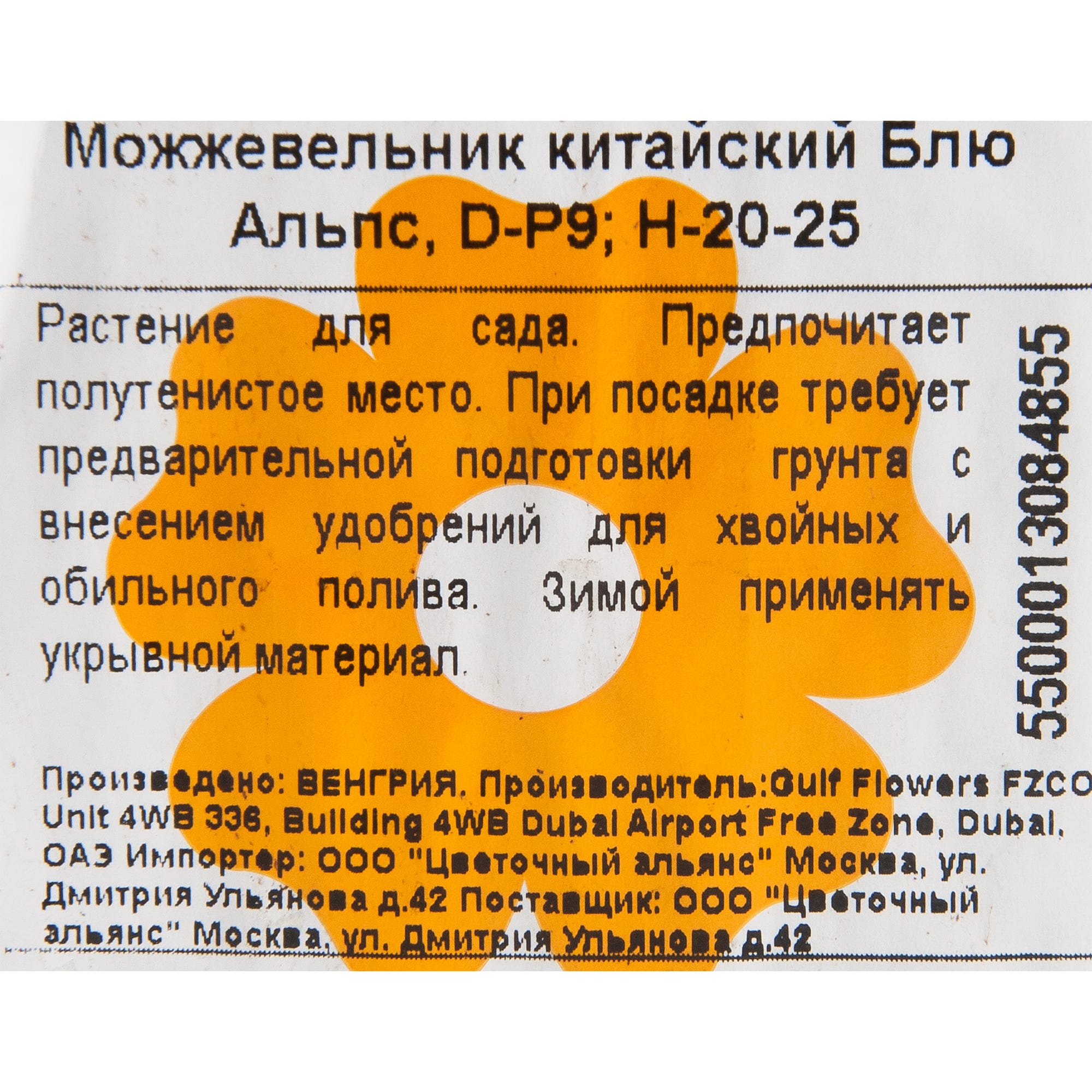 82601647 Можжевельник «Блю Альпс» 9x20 см Santreyd  - Вид №1