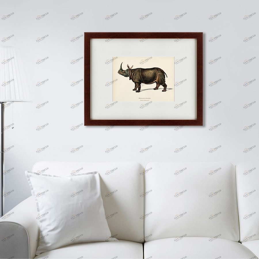 Картина: Rhinoceros ancienne gravure, 1849 КАРТИНЫ В КВАРТИРУ  191746 Разноцветный 