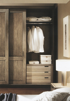 Шкаф  ARTE CASA 2395 Evoluzione - Вид №1