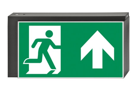 DST-4464 Lisu pennant Daisalux Светильники и спец. Металлический Серый 