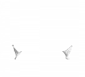 Gentry Home Bexley Cast iron bathtubs with feet Императорский белый GH102612