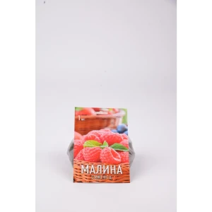 Малина Жар-птица h17 см 83791469 STLM-2050366