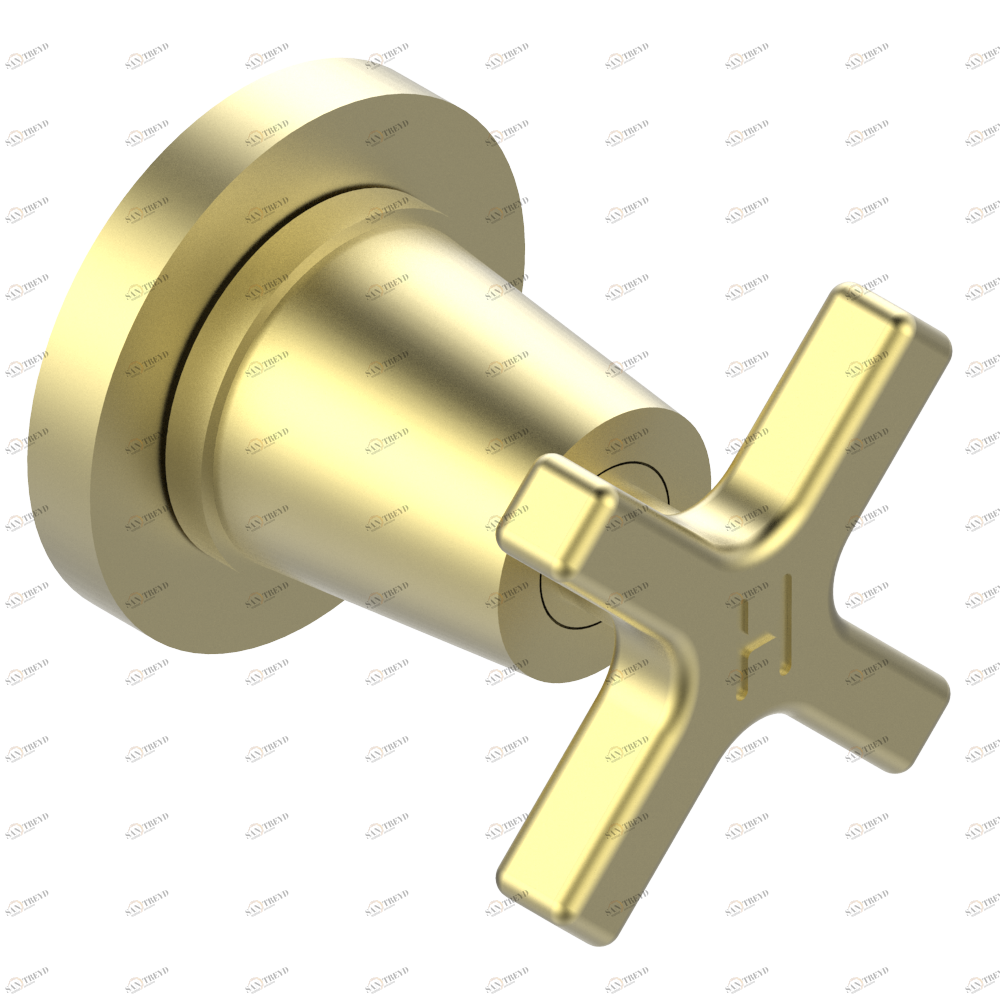 G69-30B/H Маховик для встраиваемого в стену вентиля для горячей воды Thg-paris Spirit Покрытие PVD матовая латунь G69 30B/H CAT.F