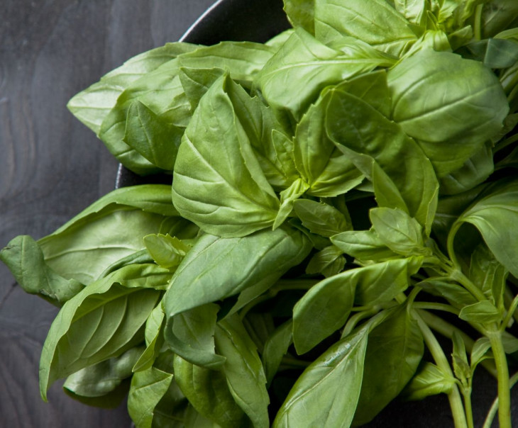 8387 Базилик зеленый Вкусляндия  - Вид №1