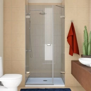 Душевая дверь в нишу 115x200 GK-862B стекло прозрачное 6 мм GUTEWETTER TREND DOOR